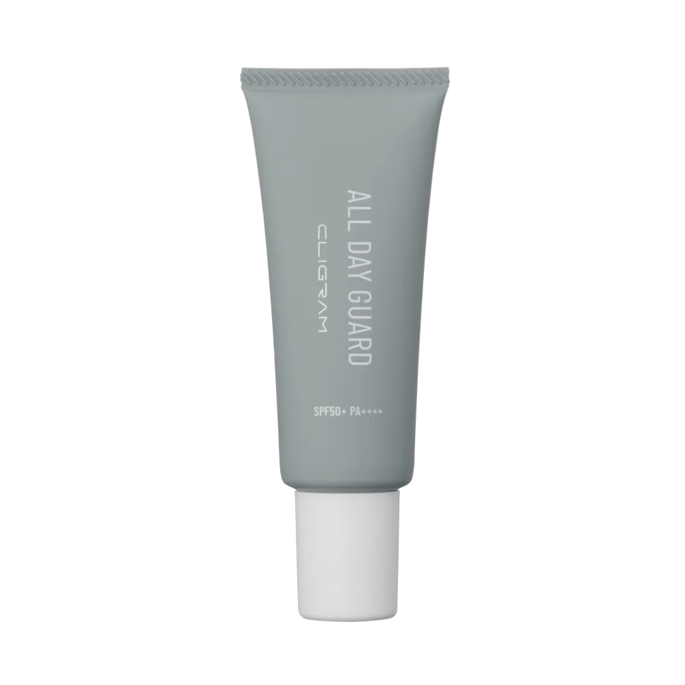 オールデイガード