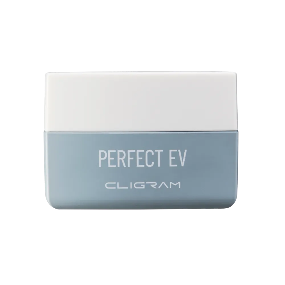 パーフェクトEV